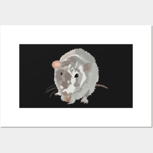 PJ - Daddy Rat Posters and Art